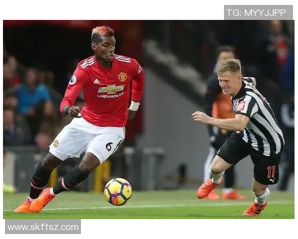 费雷拉与维森特精彩对决直播全程回顾与赛后分析